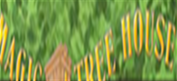 Magic Tree House